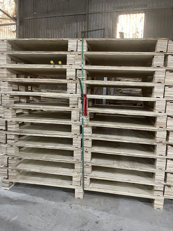 Pallet gỗ ván ép 2000x1000x140mm